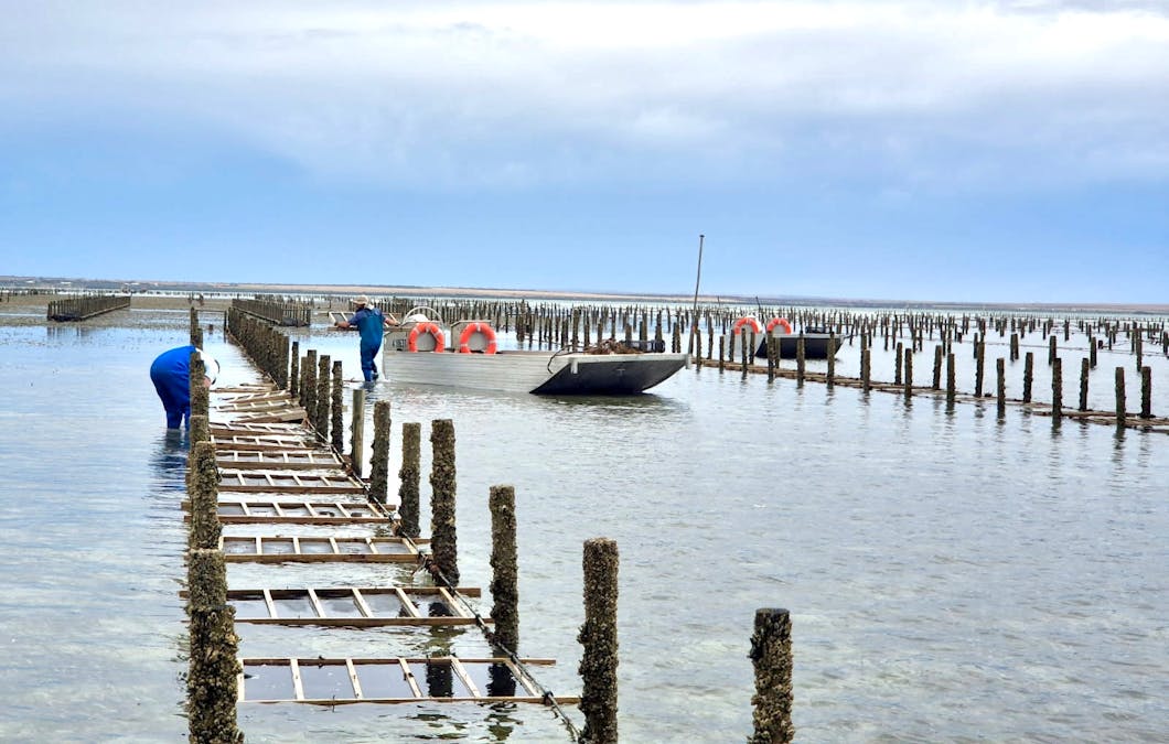 49A Thiselton Way, Denial Bay, SA, 5690 - Image 8