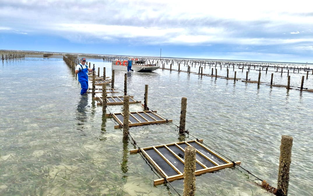 49A Thiselton Way, Denial Bay, SA, 5690 - Image 10