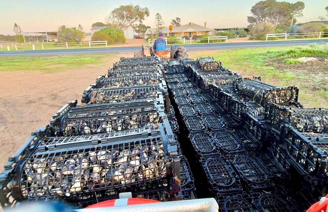 49A Thiselton Way, Denial Bay, SA, 5690 - Image 17