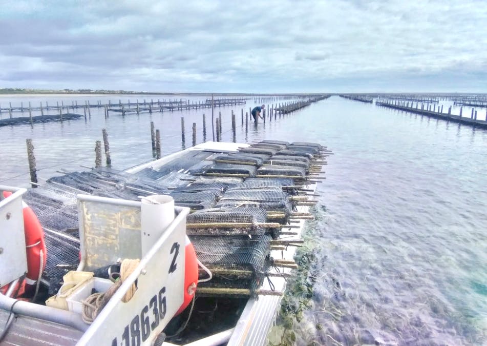 49A Thiselton Way, Denial Bay, SA, 5690 - Image 2