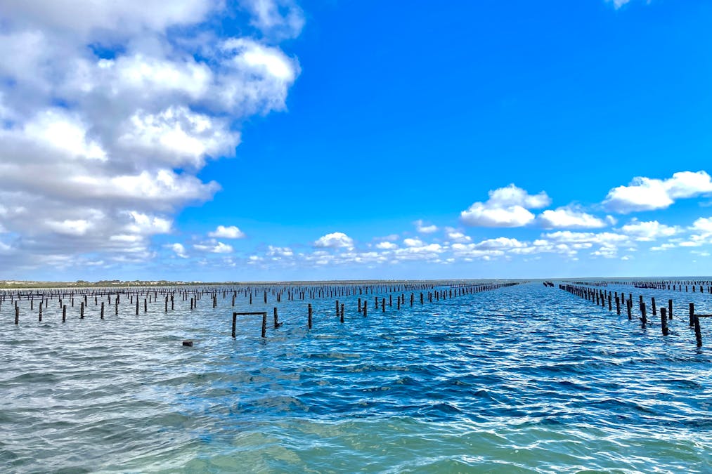 49A Thiselton Way, Denial Bay, SA, 5690 - Image 3