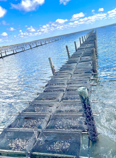 49A Thiselton Way, Denial Bay, SA, 5690 - Image 14