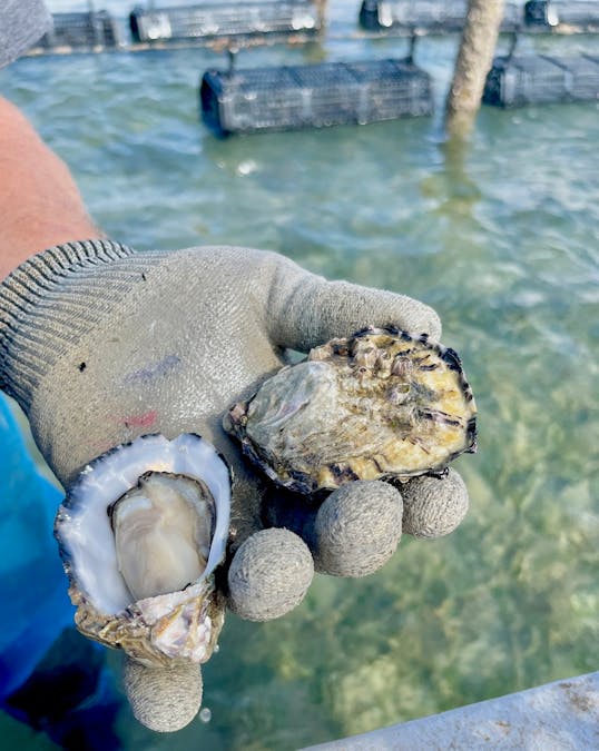 49A Thiselton Way, Denial Bay, SA, 5690 - Image 15