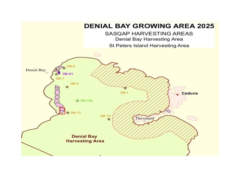 49A Thiselton Way, Denial Bay, SA, 5690 - Floorplan 1