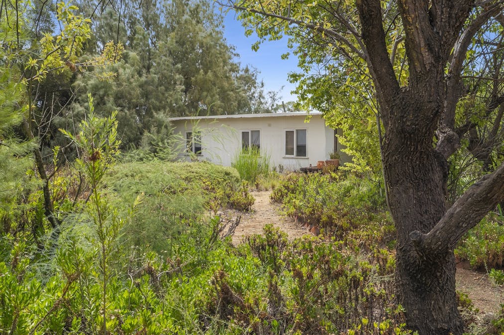 30 Hoffman Road, Loveday, SA, 5345 - Image 15