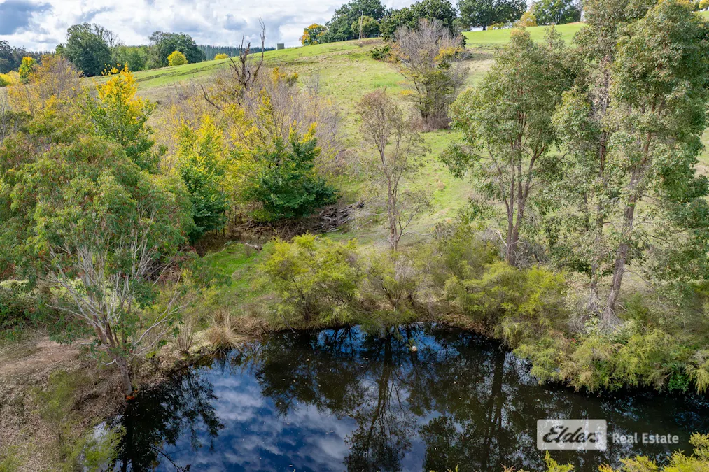 285 Anderson Road, Thomson Brook, WA, 6239 - Image 20
