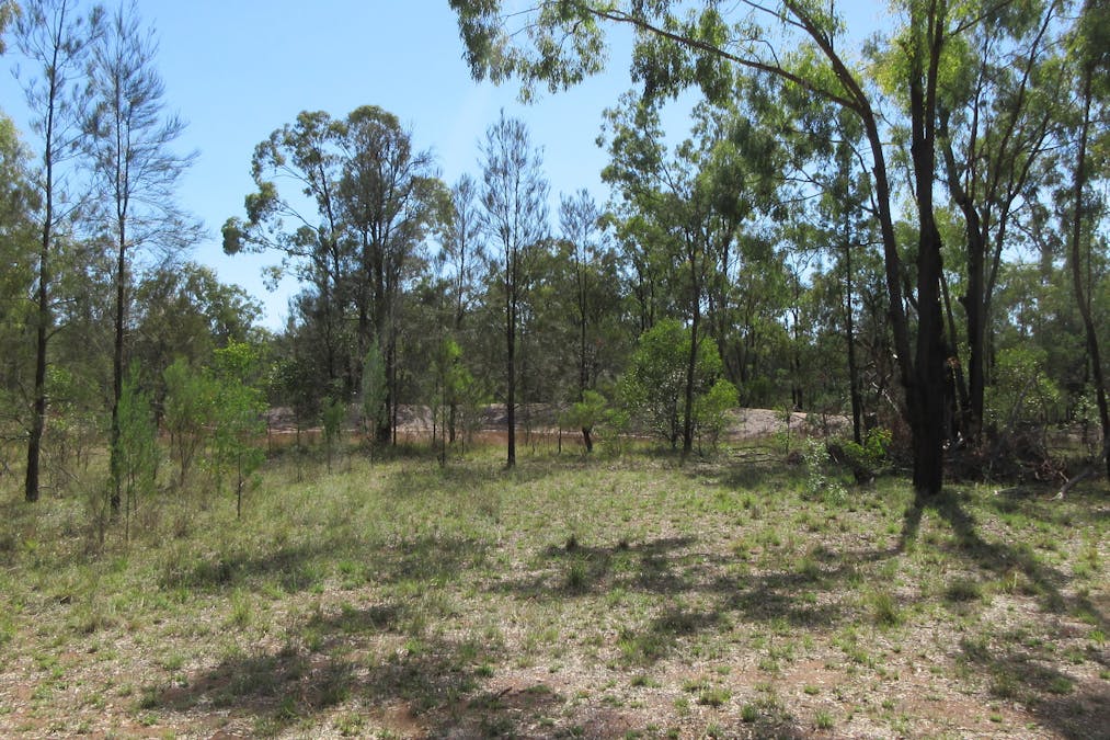 Tara, QLD, 4421 - Image 15