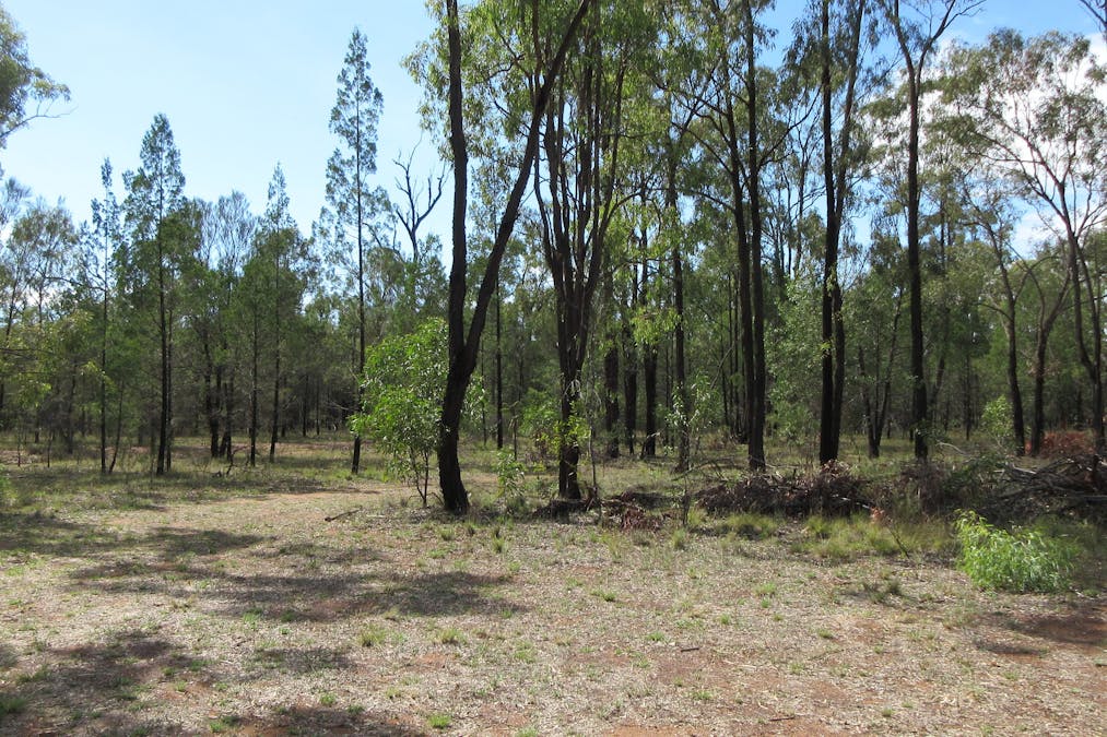 Tara, QLD, 4421 - Image 16