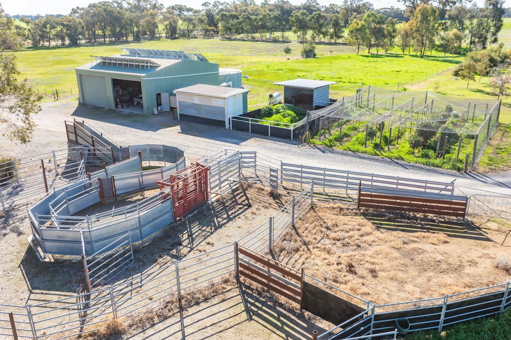 290 Savernake Road, Mulwala, NSW, 2647 - Image 5