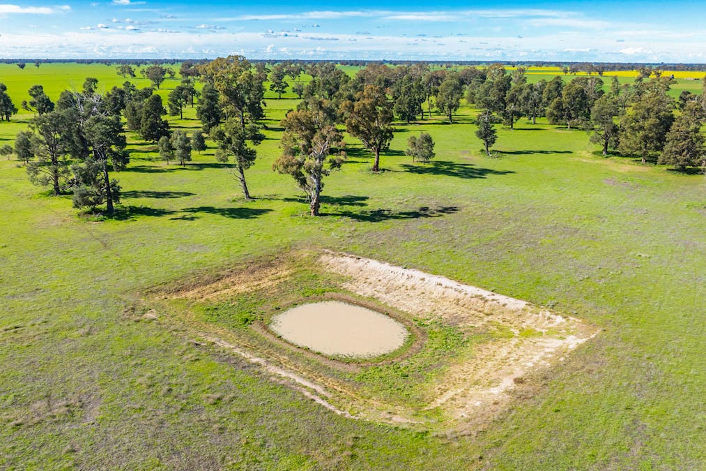 290 Savernake Road, Mulwala, NSW, 2647 - Image 9