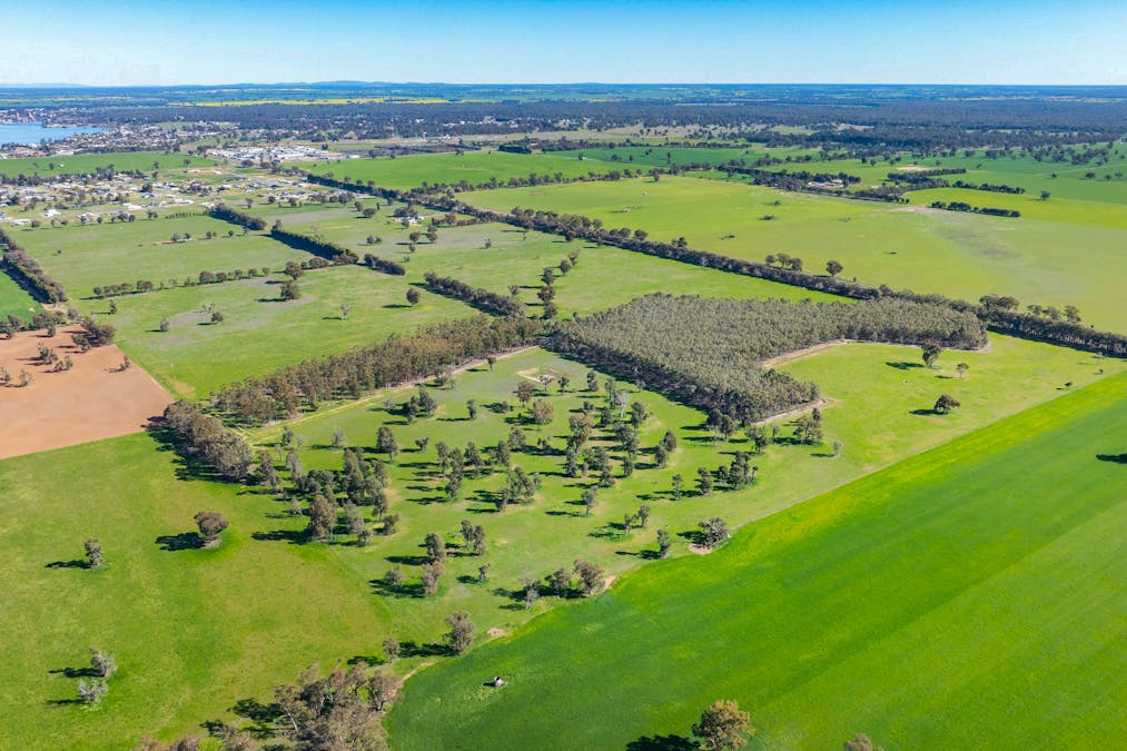 290 Savernake Road, Mulwala, NSW, 2647 - Image 4
