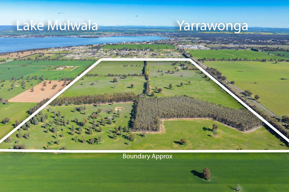 290 Savernake Road, Mulwala, NSW, 2647 - Image 1