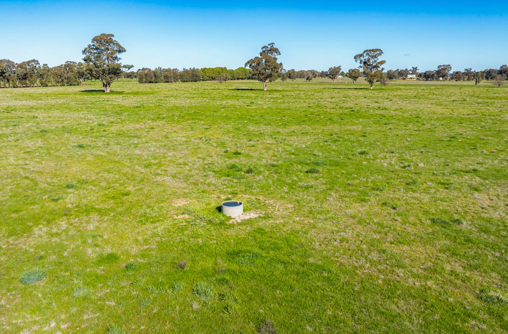 290 Savernake Road, Mulwala, NSW, 2647 - Image 10