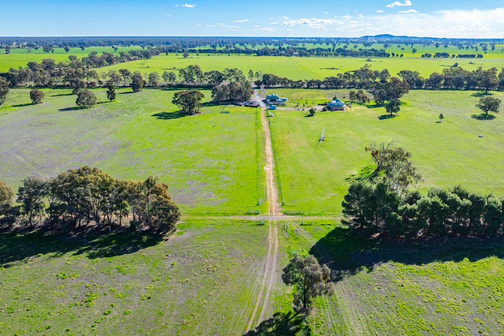 290 Savernake Road, Mulwala, NSW, 2647 - Image 12