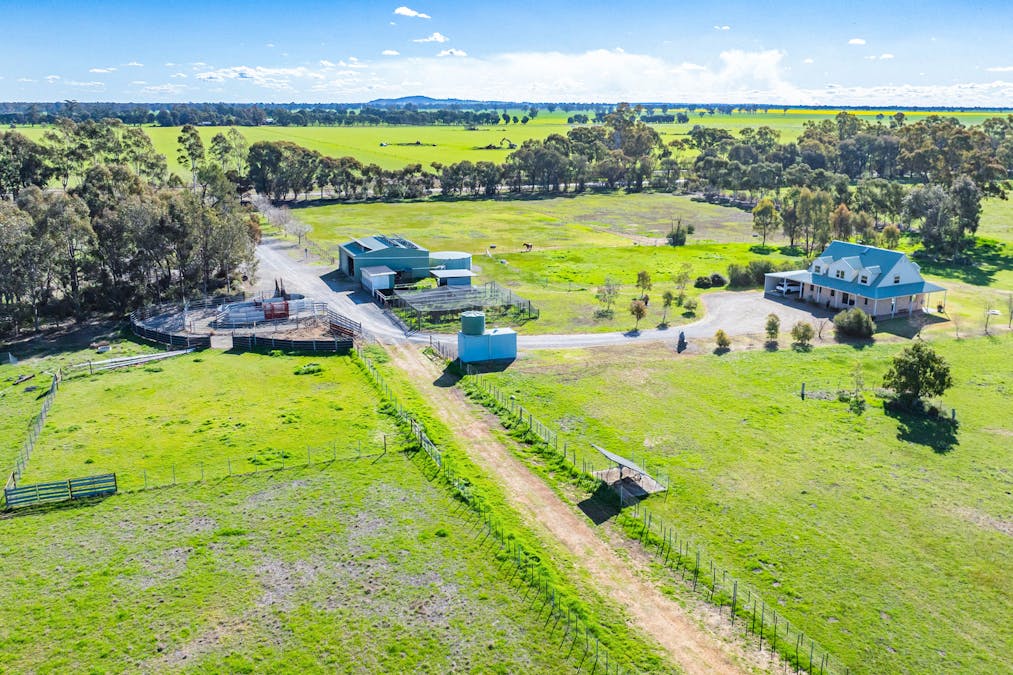 290 Savernake Road, Mulwala, NSW, 2647 - Image 14