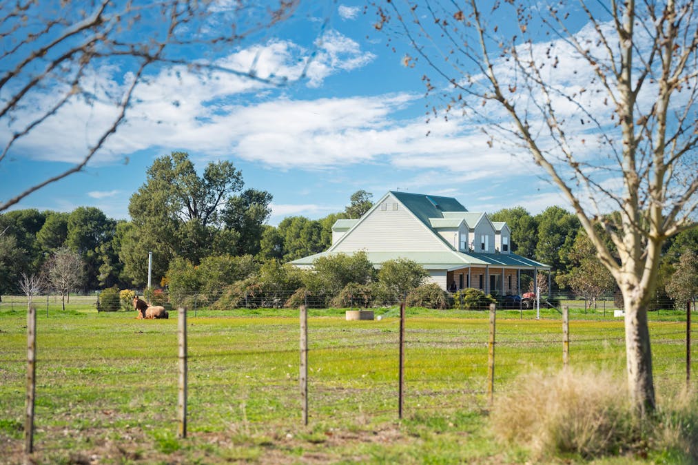 290 Savernake Road, Mulwala, NSW, 2647 - Image 15