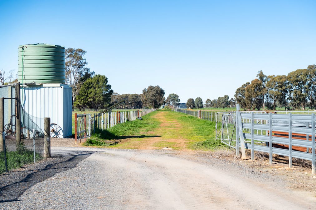 290 Savernake Road, Mulwala, NSW, 2647 - Image 20