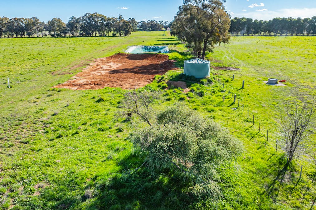 290 Savernake Road, Mulwala, NSW, 2647 - Image 22