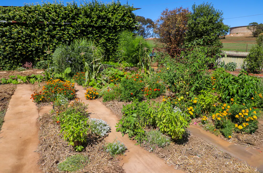 37 Cowley Road, Cleve, SA, 5640 - Image 31