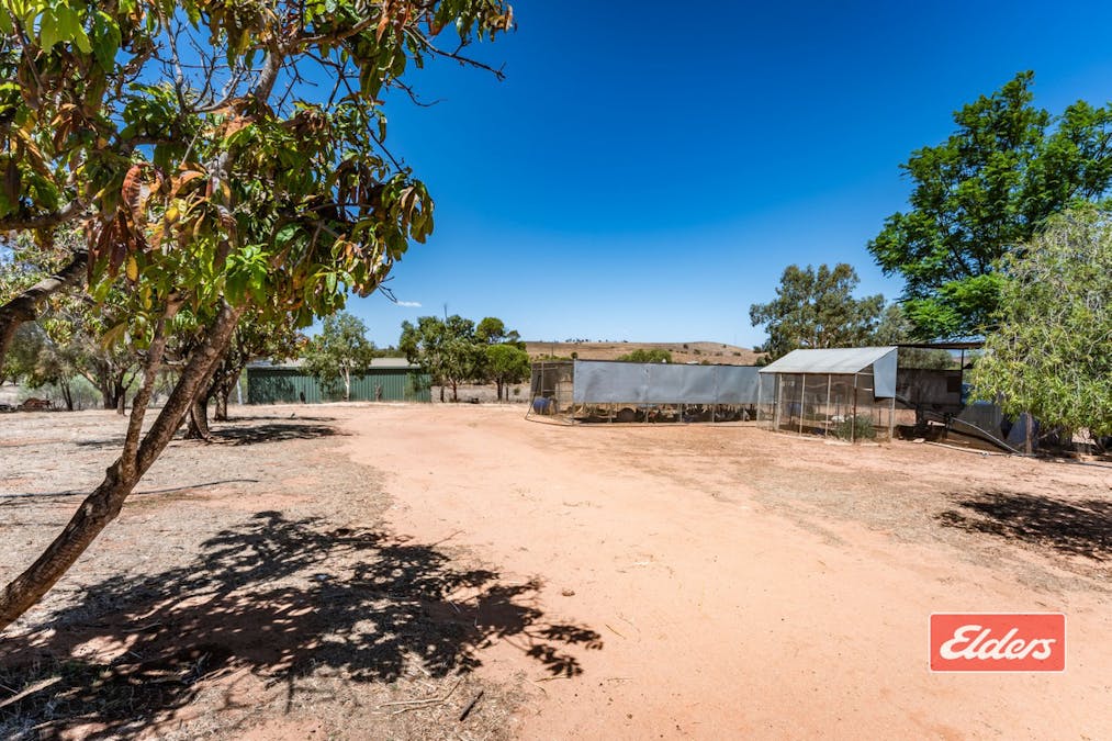 45 Stone Street, Northampton, WA, 6535 - Image 16