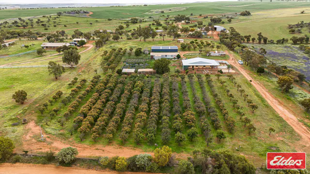 45 Stone Street — photo from Elders Real Estate Western Australia