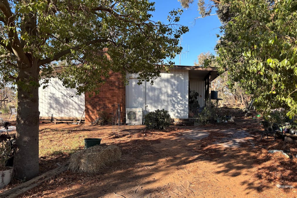 5825 Robinvale-Sea Lake Road, Manangatang, VIC, 3546 - Image 5