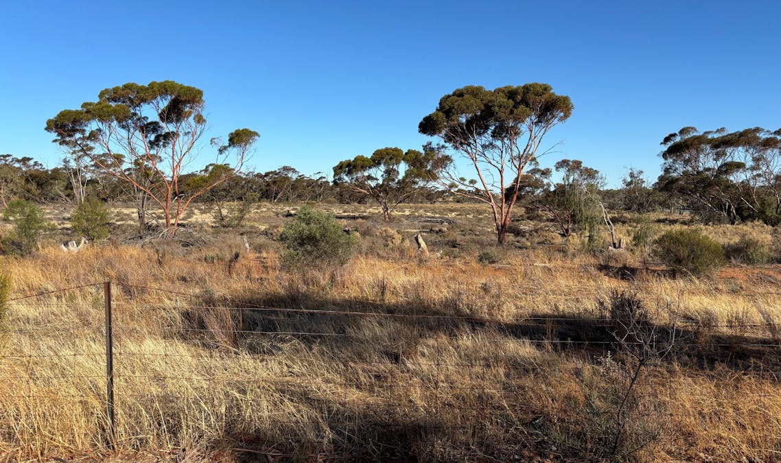 5825 Robinvale-Sea Lake Road, Manangatang, VIC, 3546 - Image 9