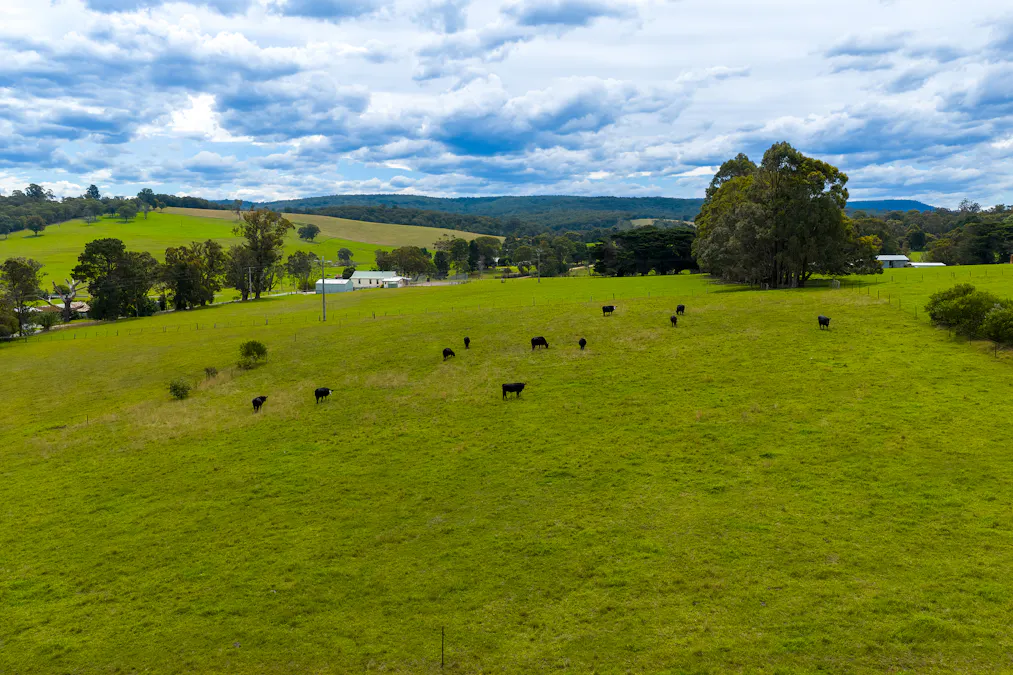 200 Lower Flaggy Creek Road, Flaggy Creek, VIC, 3875 - Image 10