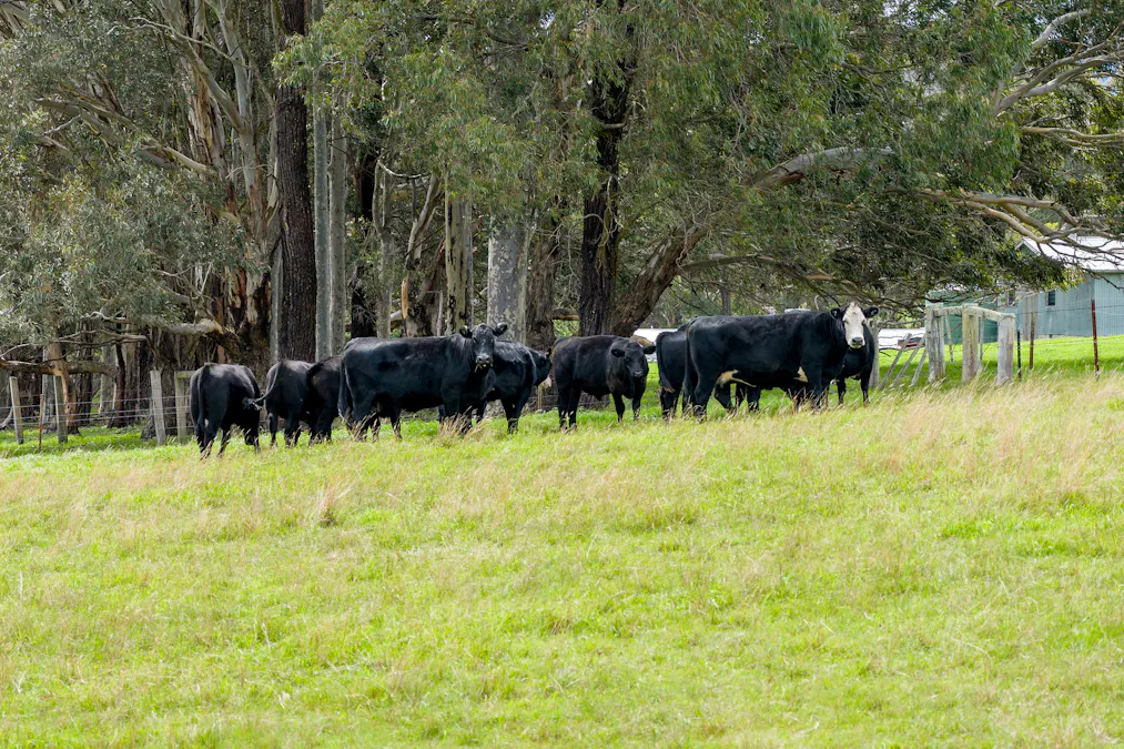 200 Lower Flaggy Creek Road, Flaggy Creek, VIC, 3875 - Image 9