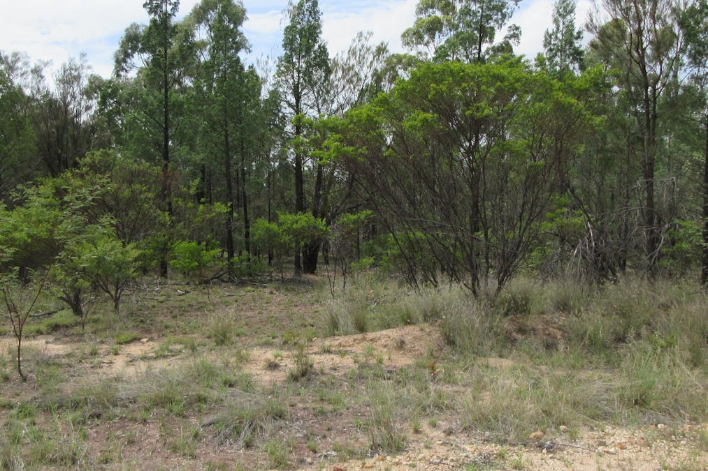 85/Harwoods Road, Tara, QLD, 4421 - Image 1