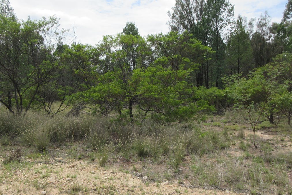 85/Harwoods Road, Tara, QLD, 4421 - Image 2