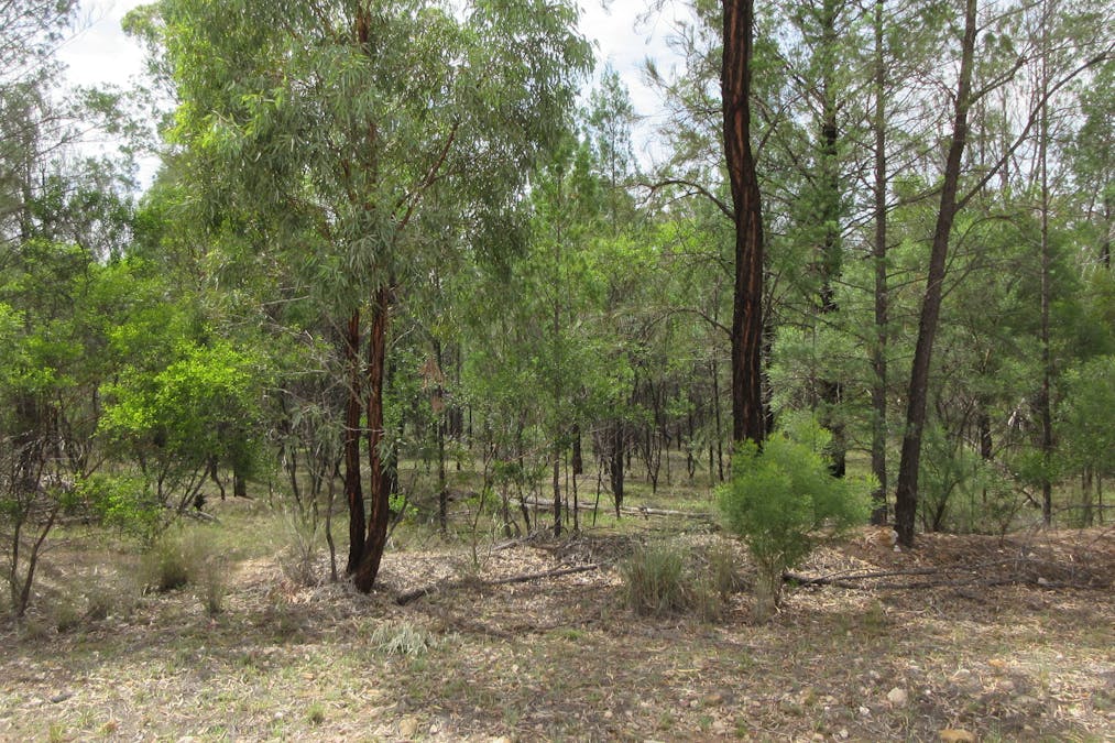 85/Harwoods Road, Tara, QLD, 4421 - Image 4