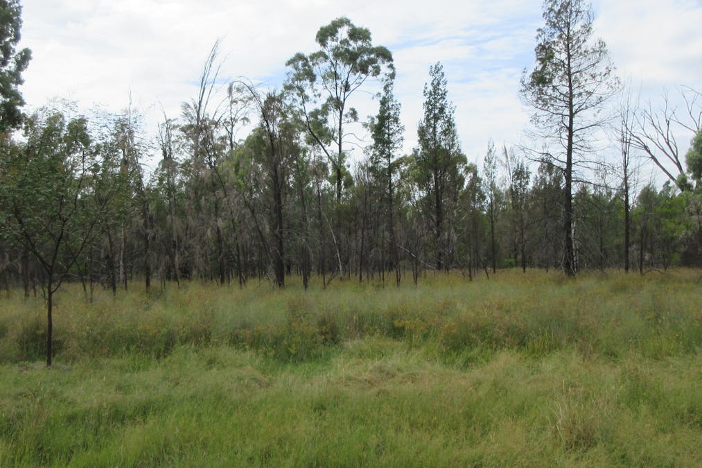 85/Harwoods Road, Tara, QLD, 4421 - Image 5