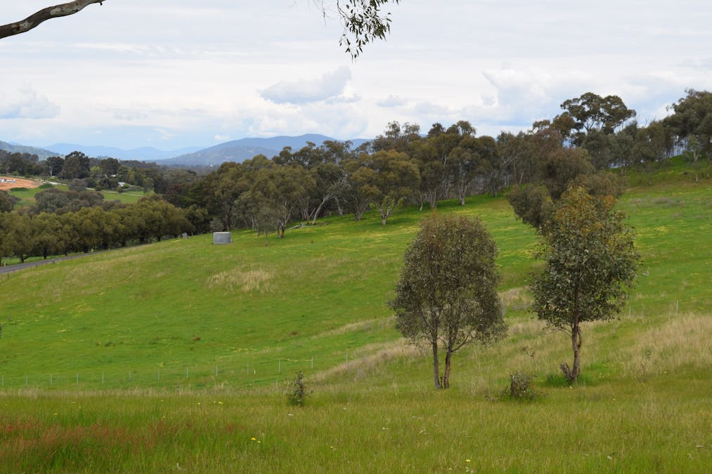 87 Splitters Creek Road, Splitters Creek, NSW, 2640 - Image 2