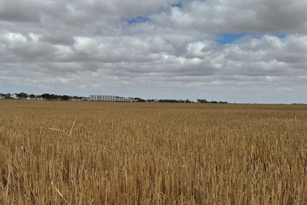 2368 Hamilton Highway, Darlington, VIC, 3271 - Image 6