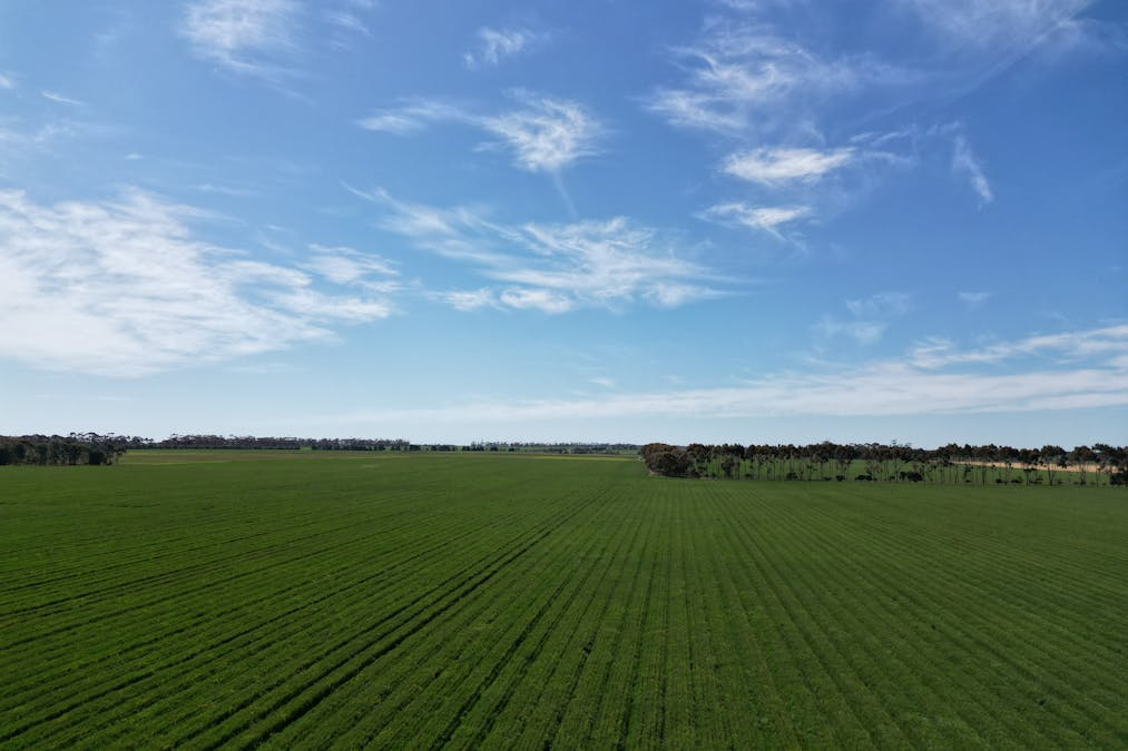 2368 Hamilton Highway, Darlington, VIC, 3271 - Image 1