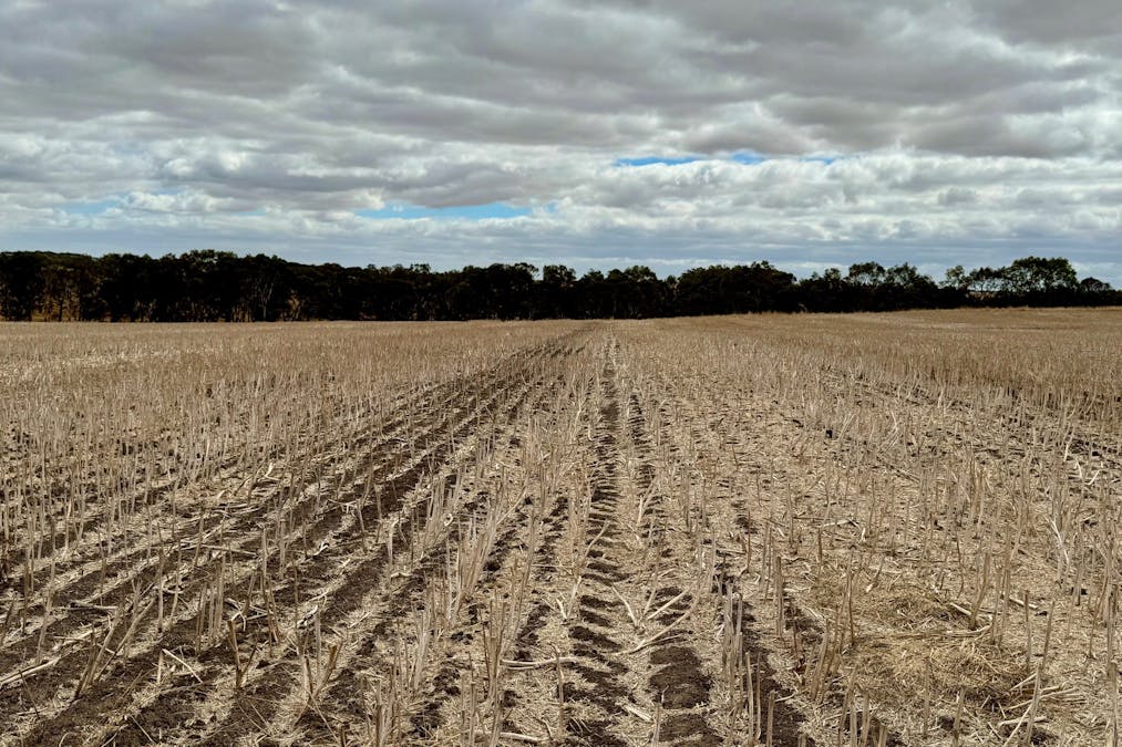 2368 Hamilton Highway, Darlington, VIC, 3271 - Image 4