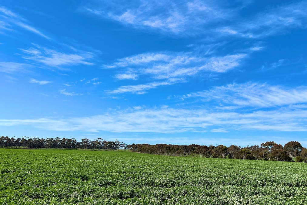 2368 Hamilton Highway, Darlington, VIC, 3271 - Image 17