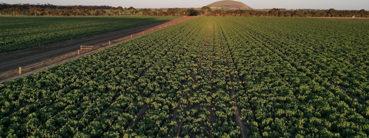 2368 Hamilton Highway, Darlington, VIC, 3271 - Image 19