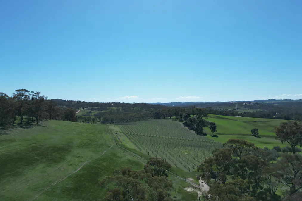 Lot 388 McCord Lane, Gillentown, SA, 5453 - Image 2