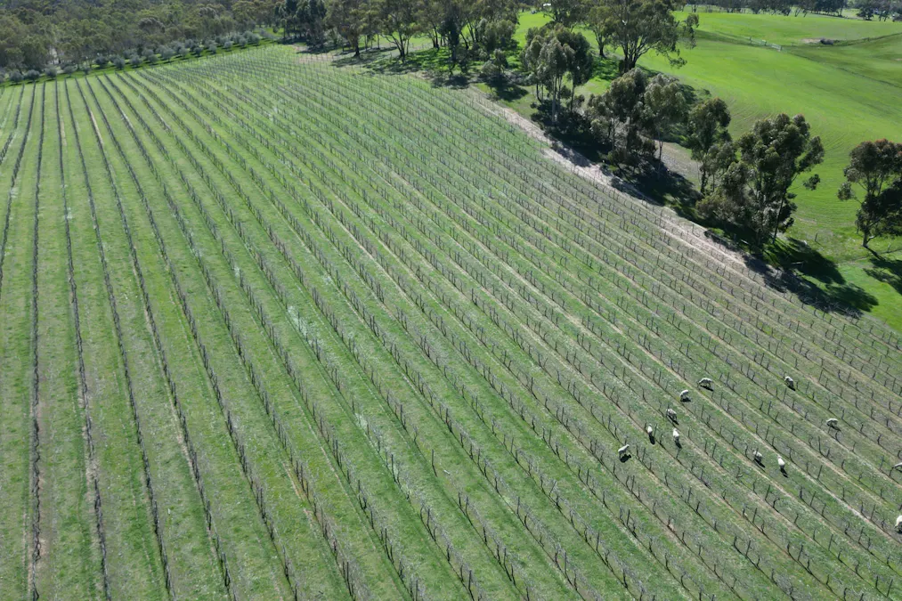 Lot 388 McCord Lane, Gillentown, SA, 5453 - Image 3