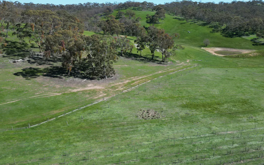 Lot 388 McCord Lane, Gillentown, SA, 5453 - Image 4