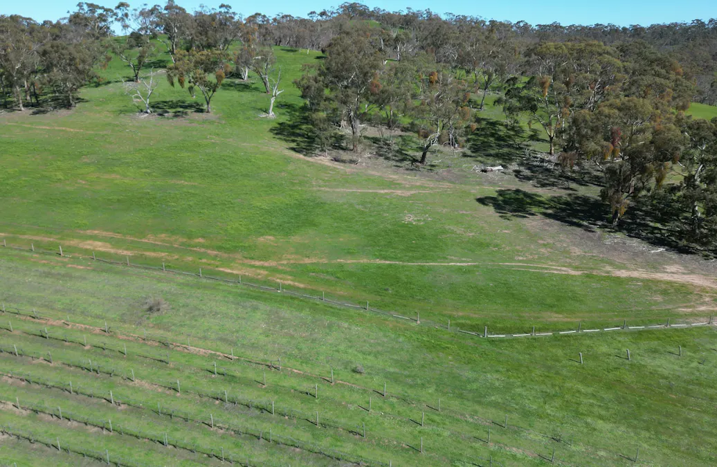 Lot 388 McCord Lane, Gillentown, SA, 5453 - Image 5