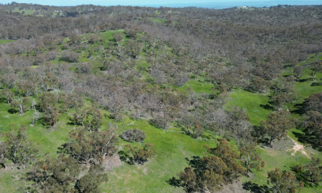 Lot 388 McCord Lane, Gillentown, SA, 5453 - Image 7