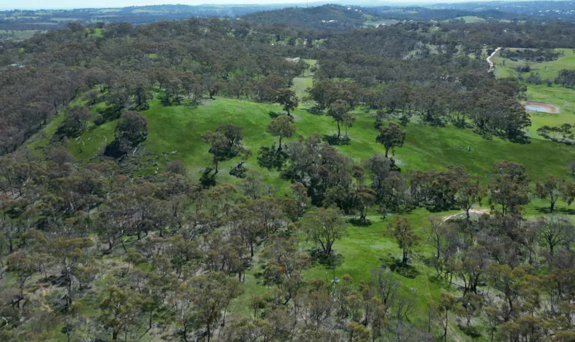 Lot 388 McCord Lane, Gillentown, SA, 5453 - Image 8