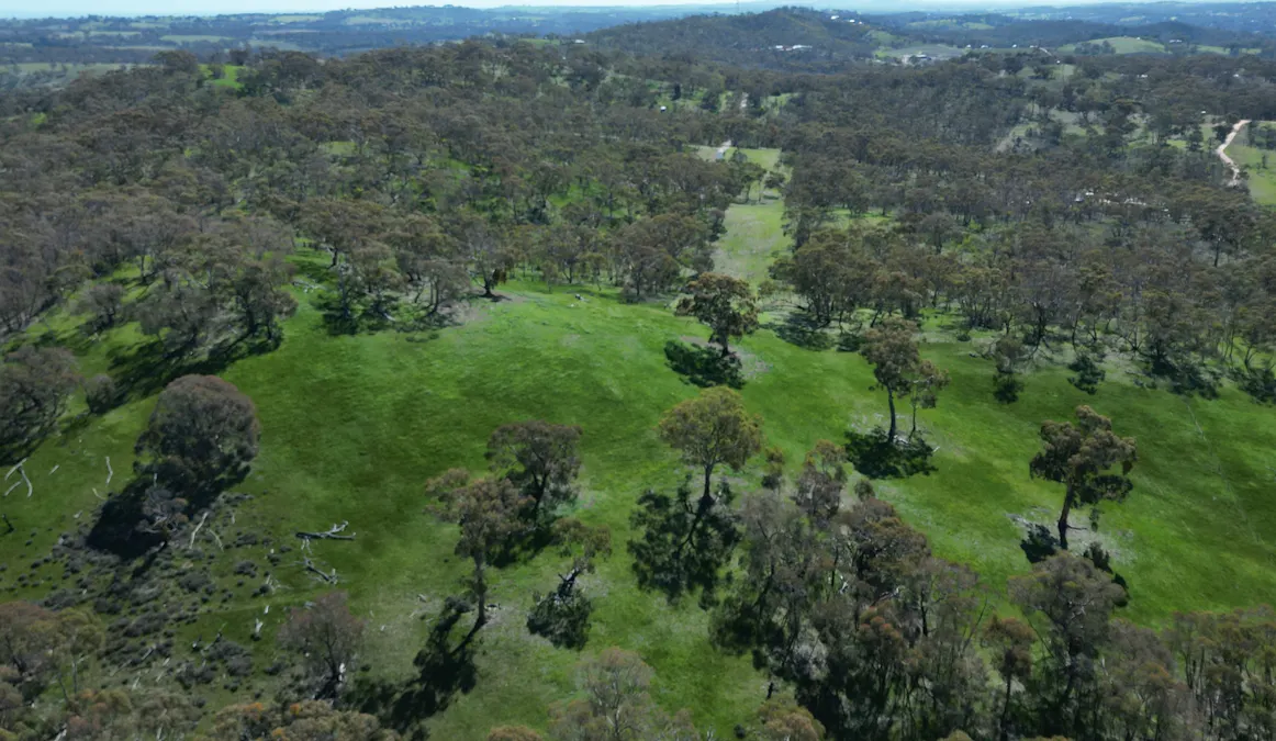 Lot 388 McCord Lane, Gillentown, SA, 5453 - Image 9