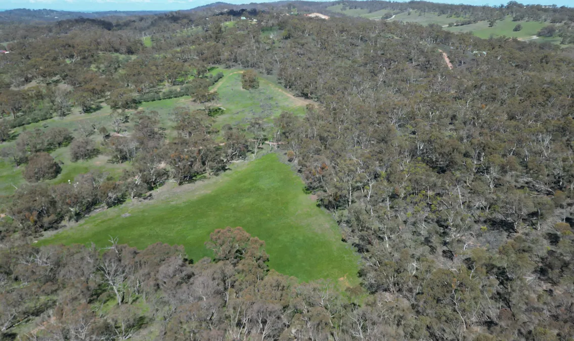 Lot 388 McCord Lane, Gillentown, SA, 5453 - Image 10