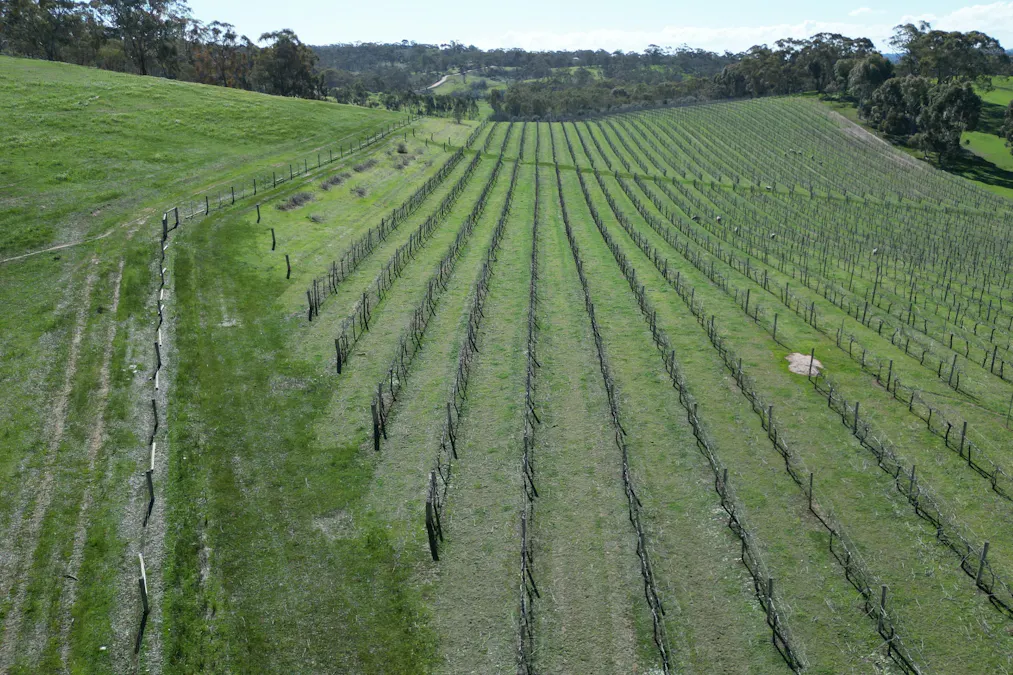 Lot 388 McCord Lane, Gillentown, SA, 5453 - Image 11