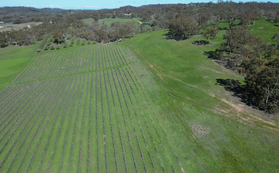 Lot 388 McCord Lane, Gillentown, SA, 5453 - Image 12