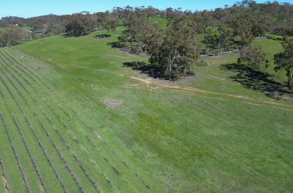 Lot 388 McCord Lane, Gillentown, SA, 5453 - Image 14